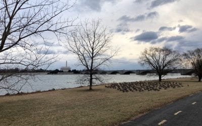 The Best Running Routes in Arlington & Washington DC