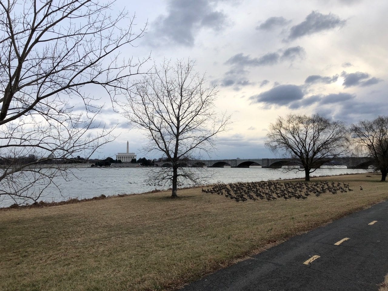 View from Arlington across the Potomac to the Washington Monument